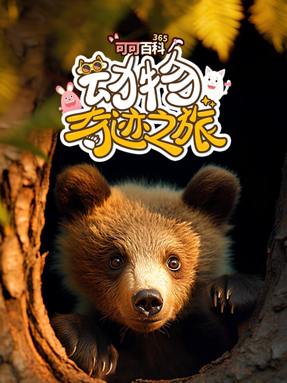 可可百科365:动物奇迹之旅