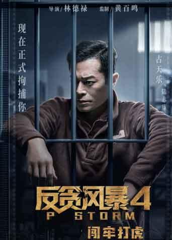 反贪风暴4 粤配