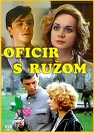 双性花蒂尿孔惩罚绑住电击