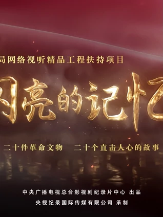 双生陌生人[普通话版]