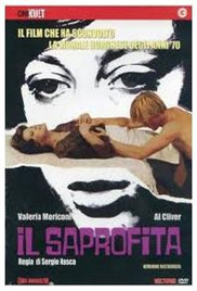 双胞胎通感夹心双男主